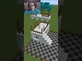 ILUSIONES OPTICAS en Minecraft (REACCIÓN)