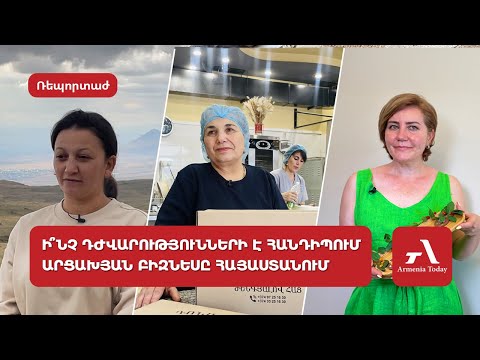 Բարձր հարկեր և աջակցության բացակայություն. ի՞նչ դժվարություններ ունի արցախյան բիզնեսը Հայաստանում