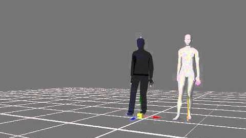 ipi soft 1kinect test .walk. low tracking res