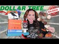 Dollar Tree Haul This Week&#39;s Amazing new finds