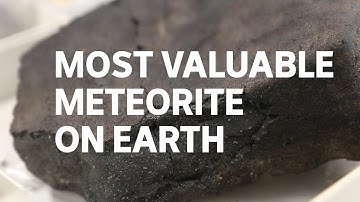 Murchison meteorite: The rarest of meteorites