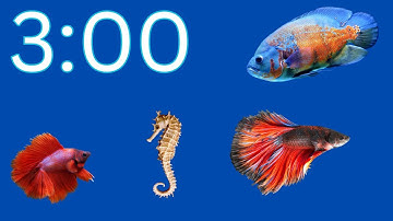 3 Minute Timer | Fish