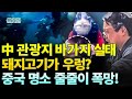 중국인사이트 中 관광지 바가지 실태 돼지고기가 우렁 중국 명소 줄줄이 폭망 보도 이태연 중국인사이트 中 관광지 바가지 실태 돼지고기가 우렁 중국 명소 줄줄이 폭망 보도 이태연