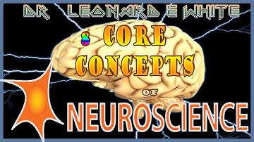 Eight Fundamental Core Concepts of Neuroscience ~ Dr.Leonard E White🏥 Medical Neuroscience Coursera