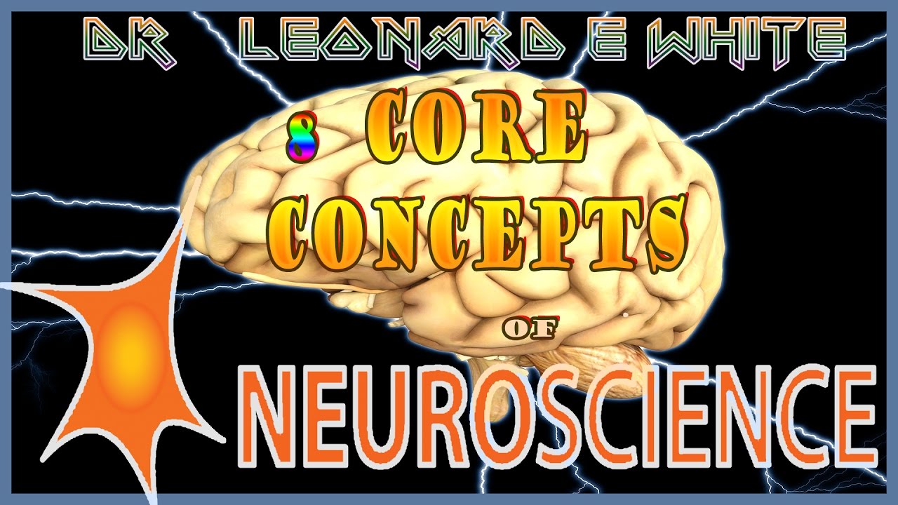 Eight Fundamental Core Concepts of Neuroscience Dr.Leonard E White🏥