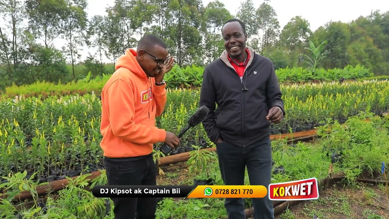 Lets Learn About Apple Farming with Onesmus Ngetich