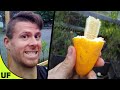 Maldives Melon Taste Test | Unusual Foods