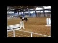 Rose Palace Summer Charity Show-3&#39;3&quot; Equitation O/F-Illusion