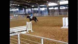 Rose Palace Summer Charity Show-3&#39;3&quot; Equitation O/F-Illusion