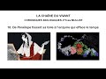10. De Pénélope tissant sa toile à l’enzyme qui efface le temps