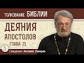 Деяния Святых Апостолов. Глава 21 &quot;Павел и ревнители закона&quot; Священник Антоний Лакирев