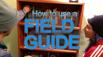 How to Use a Field Guide
