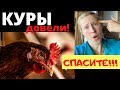 Меня достали эти КУРЫ! Плохие несушки клюют яйца! Мне нужно гнездо ловушка для куриных яиц!