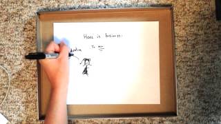 Babson Application Video