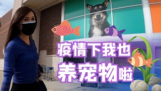 【Lin’s Vlog】逛美国最大的宠物连锁商店 新冠疫情下你养宠物了吗？  | Visiting PetSmart during coronavirus pandemic