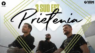 3 Sud Est - Prietenia