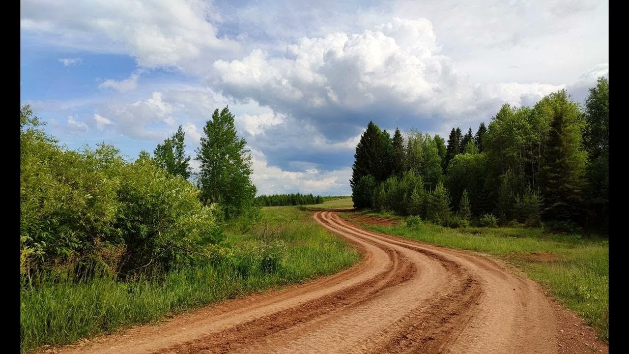 Березовая грусть грачева. Милые березовые чащи ты земля и вы равнин Пески.