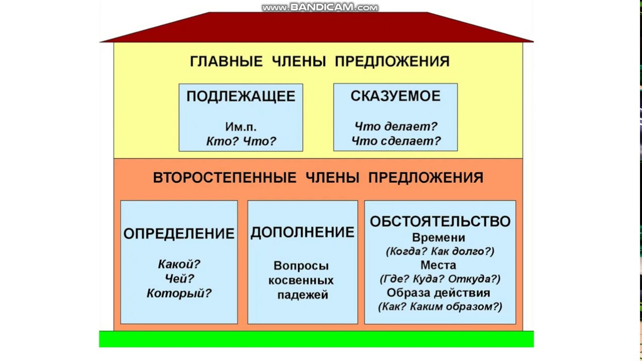 Сколько главных членов