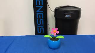 Can I water my plants with soft water?  🌿💦 by Discount Water Softeners 2,851 views 2 years ago 1 minute, 23 seconds