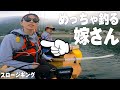 [ミニボート釣り] 錦江湾にサメ出没！根魚祭り開催中か⁉