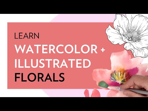WATERCOLOR + ILLUSTRATED