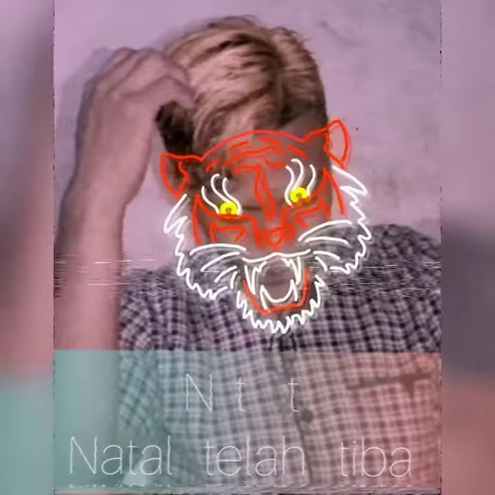 Story wa natal