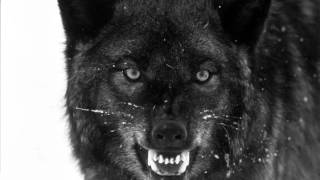 Адвайта -- Брат При Уч. Ликий