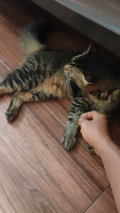 Be careful if it's too loud, it's a joke‼️😝