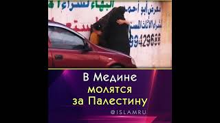 В Медине молятся за Палестину #Палестина #Газа #мольба