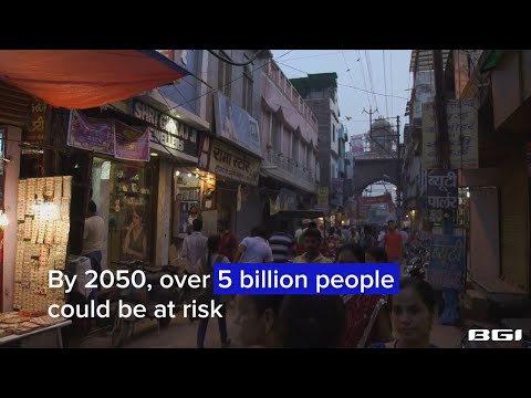 Dengue Fever A Threat From Mosquito