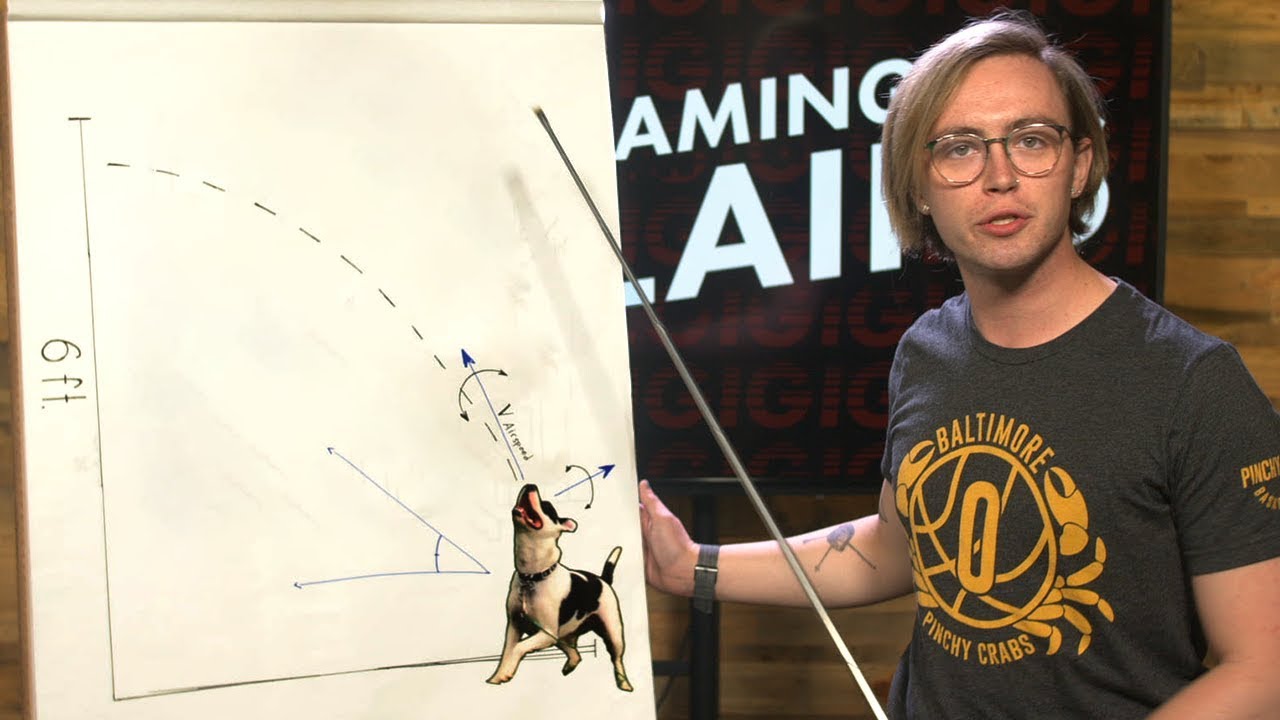 This is the BEST Video Game Dog - Inside Gaming Feature