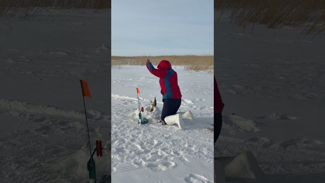 Озеро Кайбагор.  Супруга ловит щуку