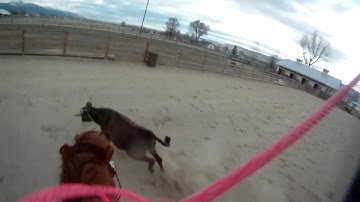 Drustew View: Heeling with Cactus C4