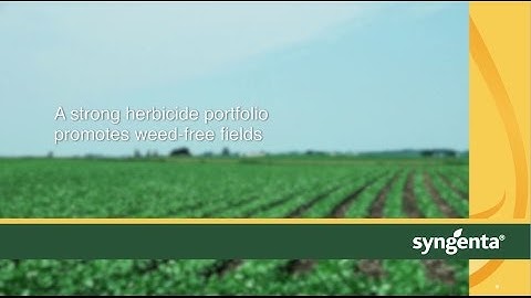 A Strong Herbicide Portfolio Promotes Weed-Free Fields