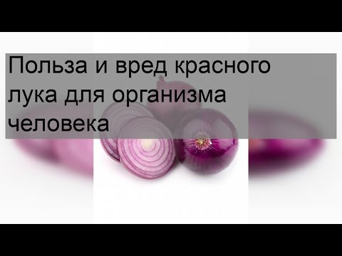 Польза и вред красного лука для организма человека