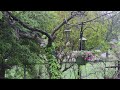 UBD - Unusual Backyard Drama Mp3 Song