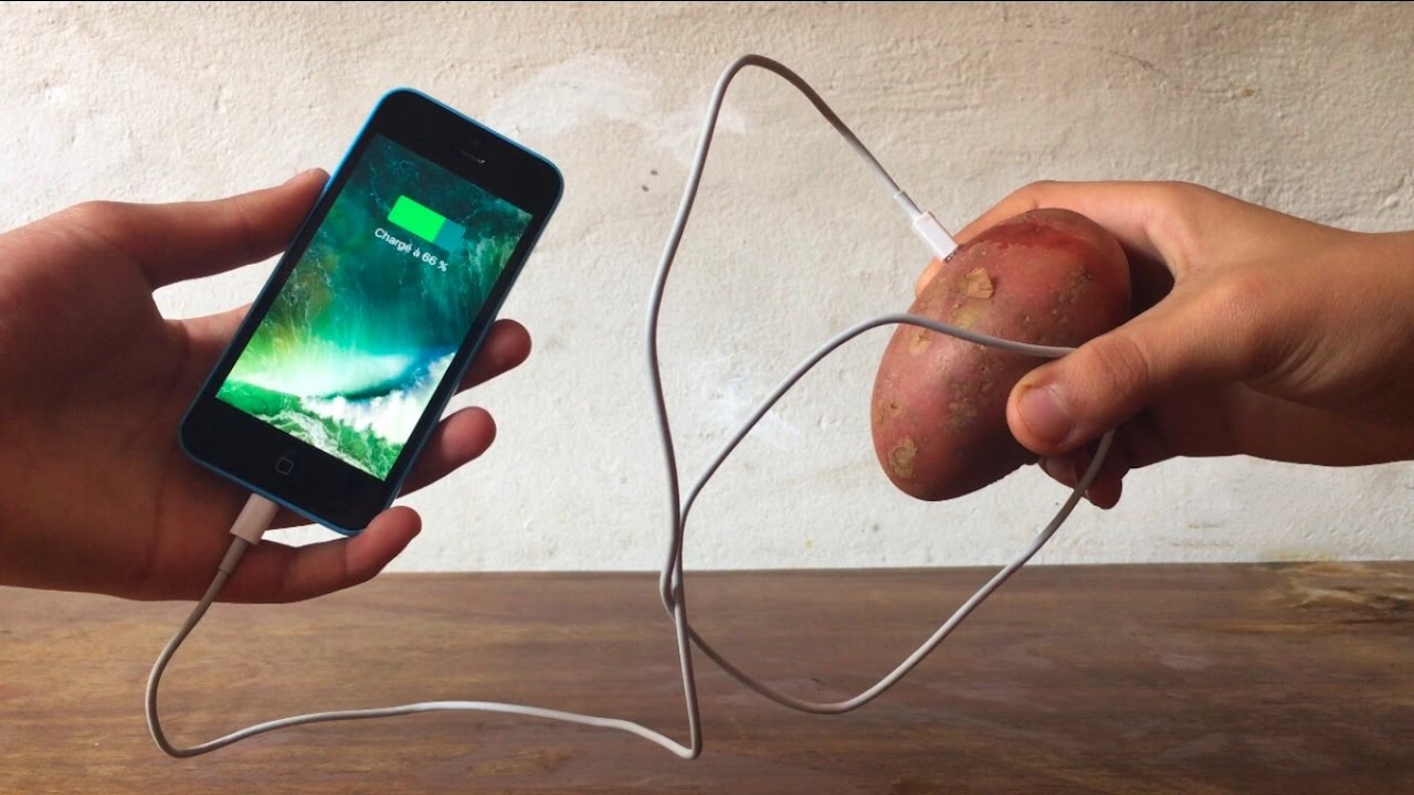Can A Potato Charge Your Phone Italy, Save 45% - Outdoorito.Com
