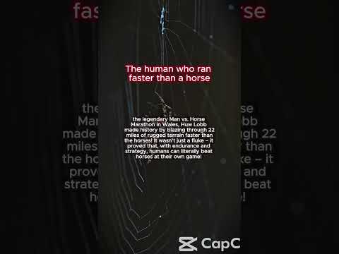 Human Outruns Horse:
