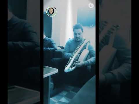 جمالشلتوت و6د بورسعيد يامسافر وحدك عازف السمسمية الفنان على فاروق سعد عزف شرقي علي آلة السمسمية 