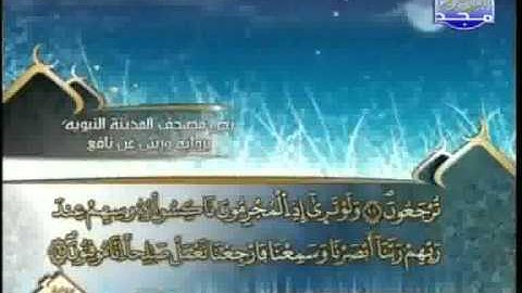 العيون الكوشي - سورة السجدة