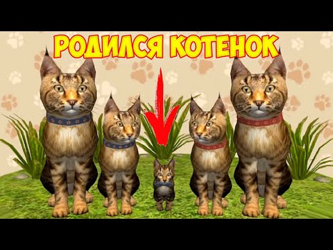 Симулятор КОТА и