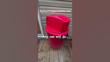 The top 3 places to put your bat house.  #batcontrol #bathouse #bats #construction #pestcontrol #diy