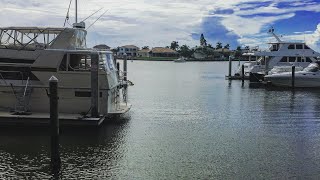 SEARCHING for sand dollars and snook (nsf day 2)