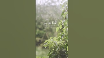 فَقُلْتُ اسْتَغْفِرُوا رَبَّكُمْ إِنَّهُ كَانَ غَفَّارًا | سورة نوح | #راحة_نفسية #القارئ_فارس_عباد