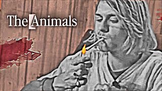 Celebrity Vegan Influencers