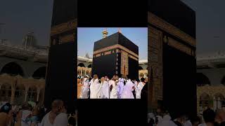 beautiful naat hajj makkah madina love trending 2023viral indiashorts youtubeshortslive