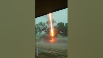 Lightning Strikes the Tree and It EXPLODES⚡🌲 #lightningstrike  #caughtoncamera #treestrike