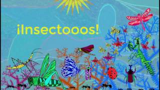 Vignette de la vidéo "Insectos (letra/lyric video)"