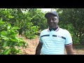 JnA2019: Agriculteur Modèle dans la filière Agrumes