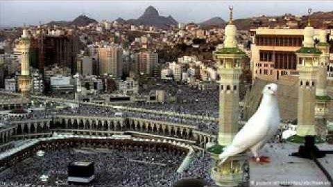 القارئ احمد حسن البشلاوي -  سورة الفرقان